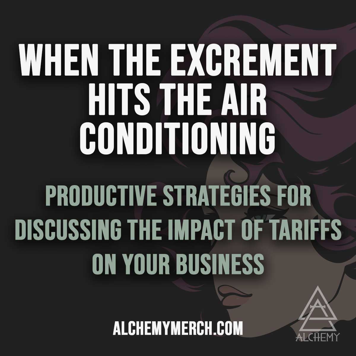 Blog header graphic about productive strategies for discussing tariff impacts on small businesses with bold white text on dark background