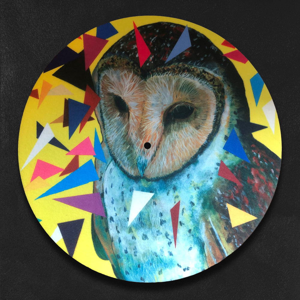 Custom Sublimated Vinyl Record Slip Mats, Full Color — customer order example
